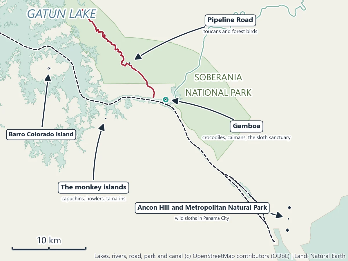 Map of the Panama Canal area marking where to see wildlife: toucans and forest birds on Pipeline Road in Soberania National Park, capuchins, howlers and tamarins on the monkey islands of Gatun Lake, crocodiles, caimans and the sloth sanctuary at Gamboa, Barro Colorado Island, and wild sloths on Ancon Hill and in the Metropolitan Natural Park in Panama City