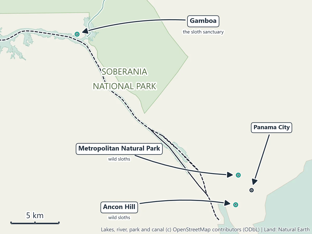 Map of Panama City and the canal to Gamboa showing where to see sloths: wild sloths on Ancon Hill and in the Metropolitan Natural Park in Panama City, the sloth sanctuary at Gamboa, and Soberania National Park along the canal